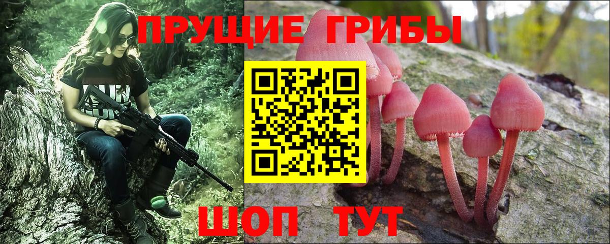 Галлюциногенные грибы GOLDEN TEACHER  Вход с VPN  Кашира 