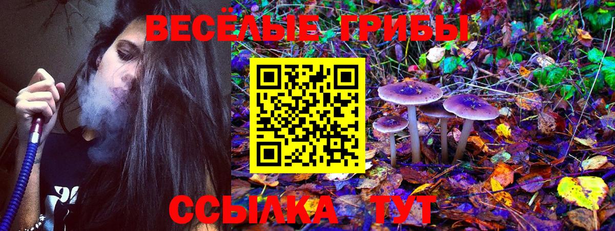 Псилоцибиновые грибы Cubensis Кашира